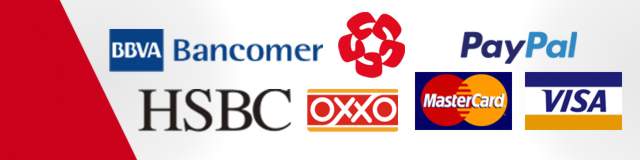 Playa del Carmen Tours